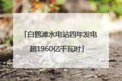 白鹤滩水电站四年发电超1960亿千瓦时
