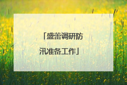 盛蕾调研防汛准备工作