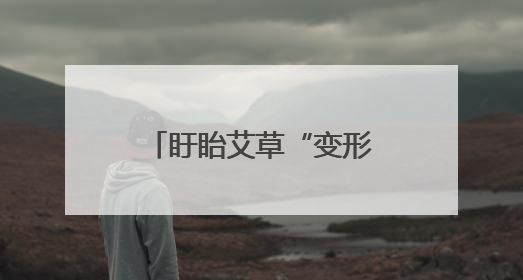 盱眙艾草“变形记”：从荒坡野草到“金枝玉叶”