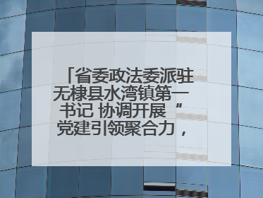省委政法委派驻无棣县水湾镇第一书记 协调开展“党建引领聚合力，健康义诊惠乡亲”义诊活动