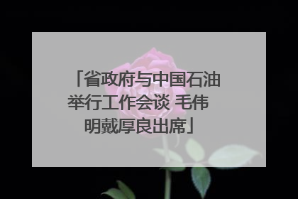 省政府与中国石油举行工作会谈 毛伟明戴厚良出席