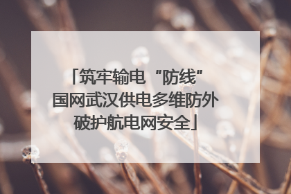 筑牢输电“防线” 国网武汉供电多维防外破护航电网安全