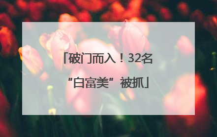 破门而入！32名“白富美”被抓