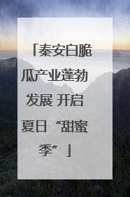 秦安白脆瓜产业蓬勃发展 开启夏日“甜蜜季”
