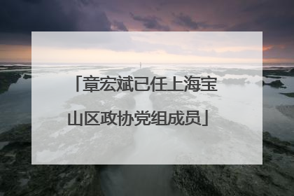 章宏斌已任上海宝山区政协党组成员