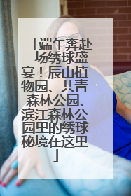 端午奔赴一场绣球盛宴！辰山植物园、共青森林公园、滨江森林公园里的绣球秘境在这里