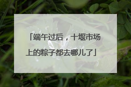 端午过后，十堰市场上的粽子都去哪儿了