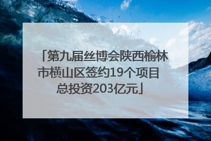 第九届丝博会陕西榆林市横山区签约19个项目 总投资203亿元