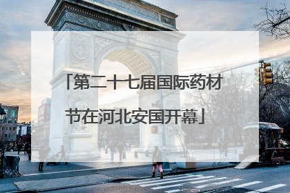 第二十七届国际药材节在河北安国开幕