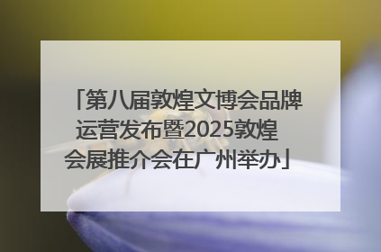 第八届敦煌文博会品牌运营发布暨2025敦煌会展推介会在广州举办