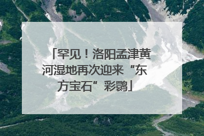 罕见！洛阳孟津黄河湿地再次迎来“东方宝石”彩鹮