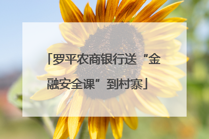 罗平农商银行送“金融安全课”到村寨