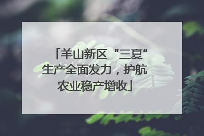 羊山新区“三夏”生产全面发力，护航农业稳产增收