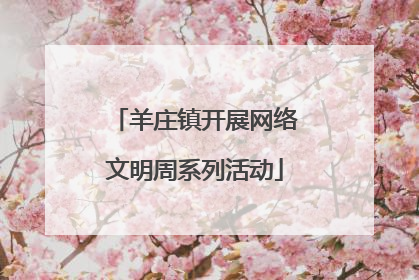 羊庄镇开展网络文明周系列活动