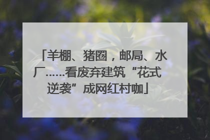 羊棚、猪圈，邮局、水厂……看废弃建筑“花式逆袭”成网红村咖
