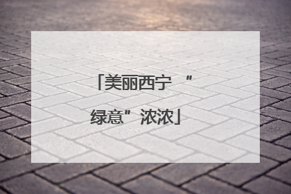 美丽西宁 “绿意”浓浓