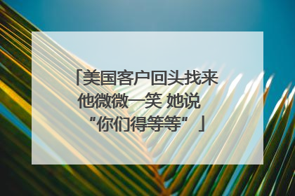 美国客户回头找来 他微微一笑 她说“你们得等等”