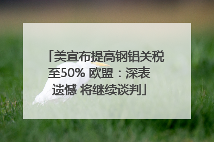美宣布提高钢铝关税至50% 欧盟：深表遗憾 将继续谈判