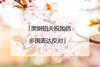 美钢铝关税加倍 多国表达反对