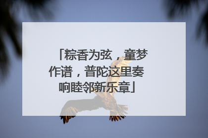 粽香为弦，童梦作谱，普陀这里奏响睦邻新乐章
