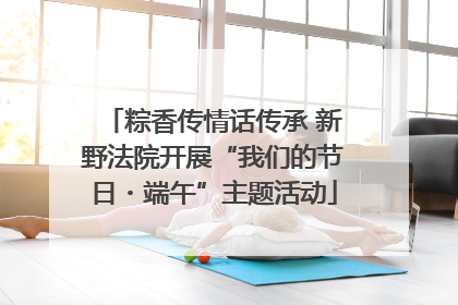 粽香传情话传承 新野法院开展“我们的节日・端午”主题活动