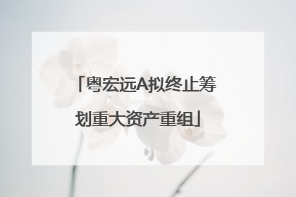 粤宏远A拟终止筹划重大资产重组