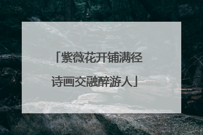 紫薇花开铺满径 诗画交融醉游人