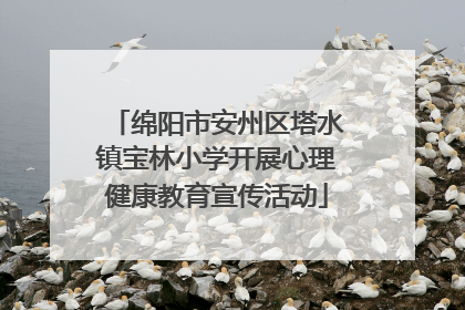 绵阳市安州区塔水镇宝林小学开展心理健康教育宣传活动