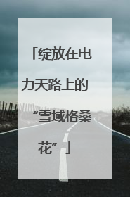 绽放在电力天路上的“雪域格桑花”