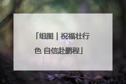组图｜祝福壮行色 自信赴鹏程