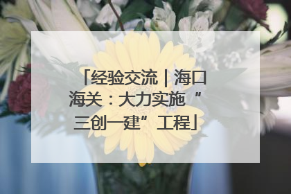 经验交流｜海口海关：大力实施“三创一建”工程