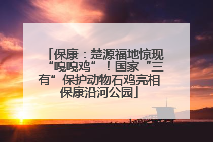 保康：楚源福地惊现“嘎嘎鸡”！国家“三有”保护动物石鸡亮相保康沿河公园