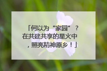 何以为“家园”？在共建共享的星火中，照亮精神原乡！