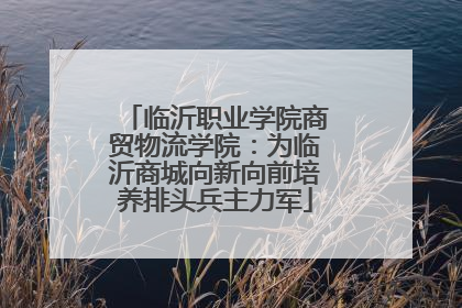 临沂职业学院商贸物流学院：为临沂商城向新向前培养排头兵主力军