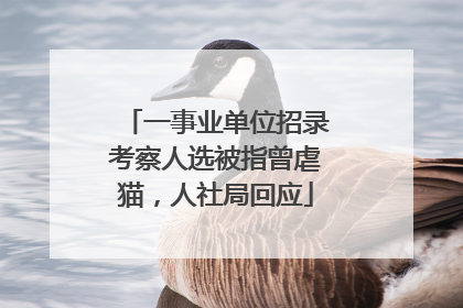 一事业单位招录考察人选被指曾虐猫，人社局回应