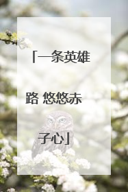 一条英雄路 悠悠赤子心