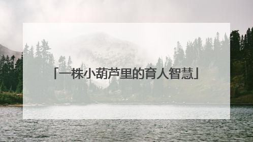 一株小葫芦里的育人智慧