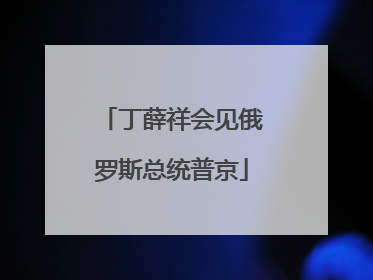 丁薛祥会见俄罗斯总统普京