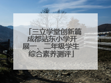 三立学堂创新篇 成都站东小学开展一、二年级学生综合素养测评