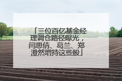 三位百亿基金经理调仓路径曝光，闫思倩、葛兰、郑澄然增持这些股