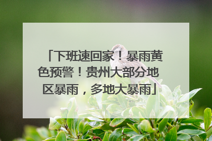 下班速回家！暴雨黄色预警！贵州大部分地区暴雨，多地大暴雨