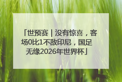 世预赛｜没有惊喜，客场0比1不敌印尼，国足无缘2026年世界杯