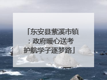 东安县紫溪市镇：政府暖心送考 护航学子逐梦路
