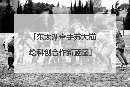 东太湖牵手苏大描绘科创合作新蓝图