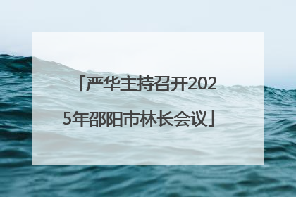 严华主持召开2025年邵阳市林长会议