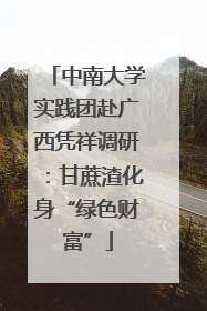 中南大学实践团赴广西凭祥调研：甘蔗渣化身“绿色财富”