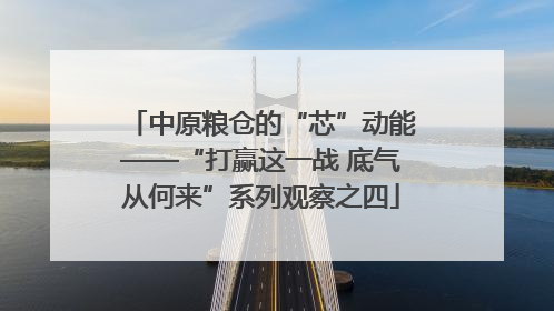 中原粮仓的“芯”动能——“打赢这一战 底气从何来”系列观察之四