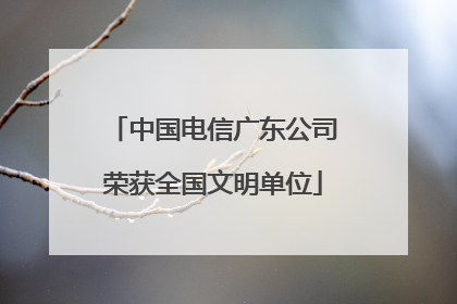 中国电信广东公司荣获全国文明单位