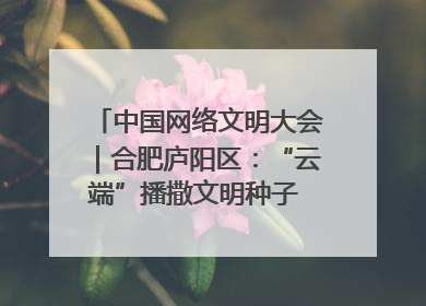 中国网络文明大会｜合肥庐阳区：“云端”播撒文明种子 共建清朗网络空间