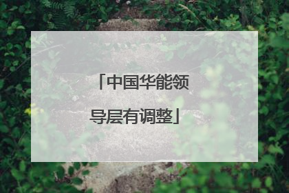 中国华能领导层有调整
